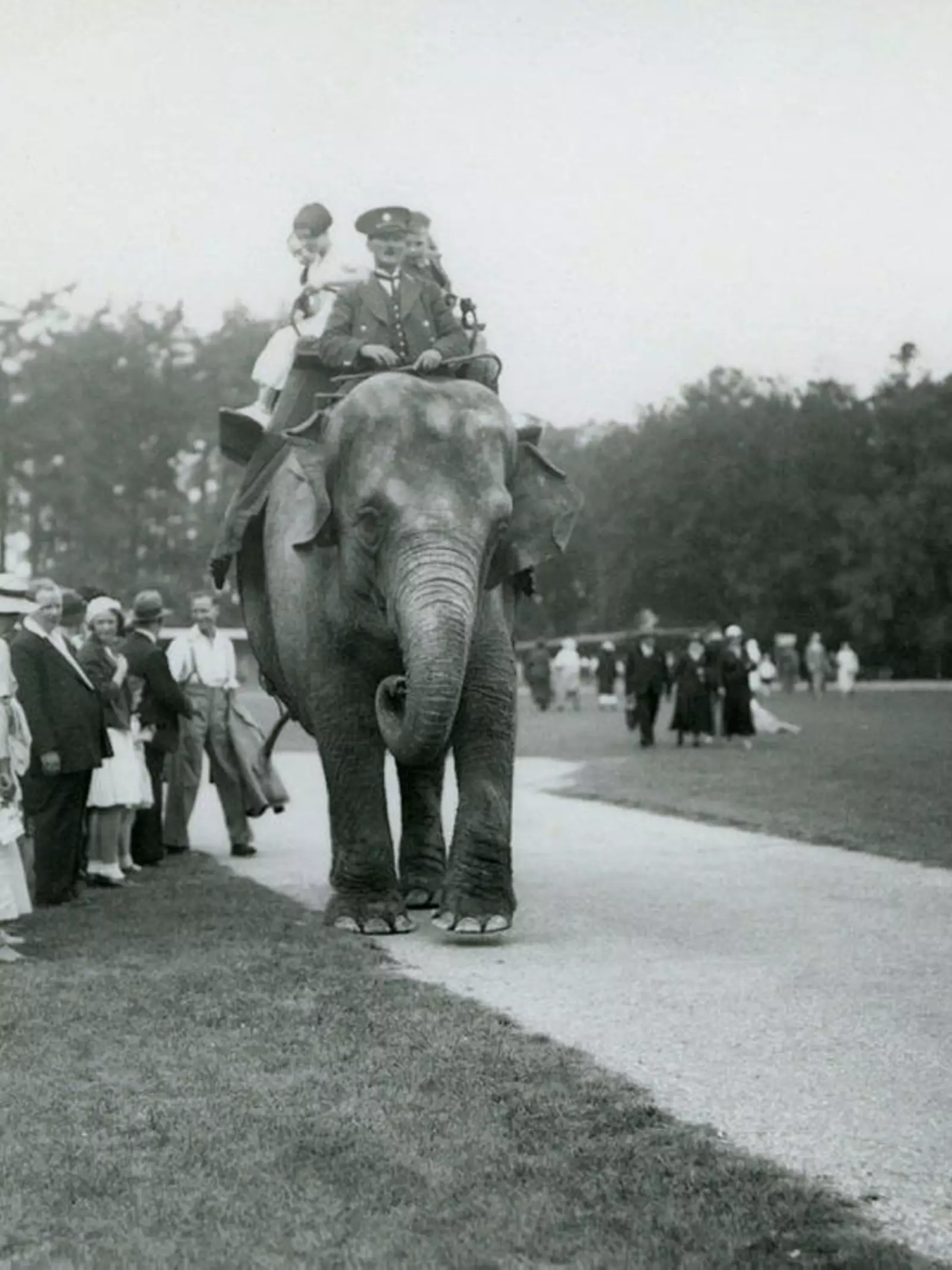 Elephant ride at Whipsnade in1936. Her handler rides astride the female Burmese Elephant's neck while visitors, including children, are seated in her howdah. Groups of other visitors stand on the short grass beside the path.