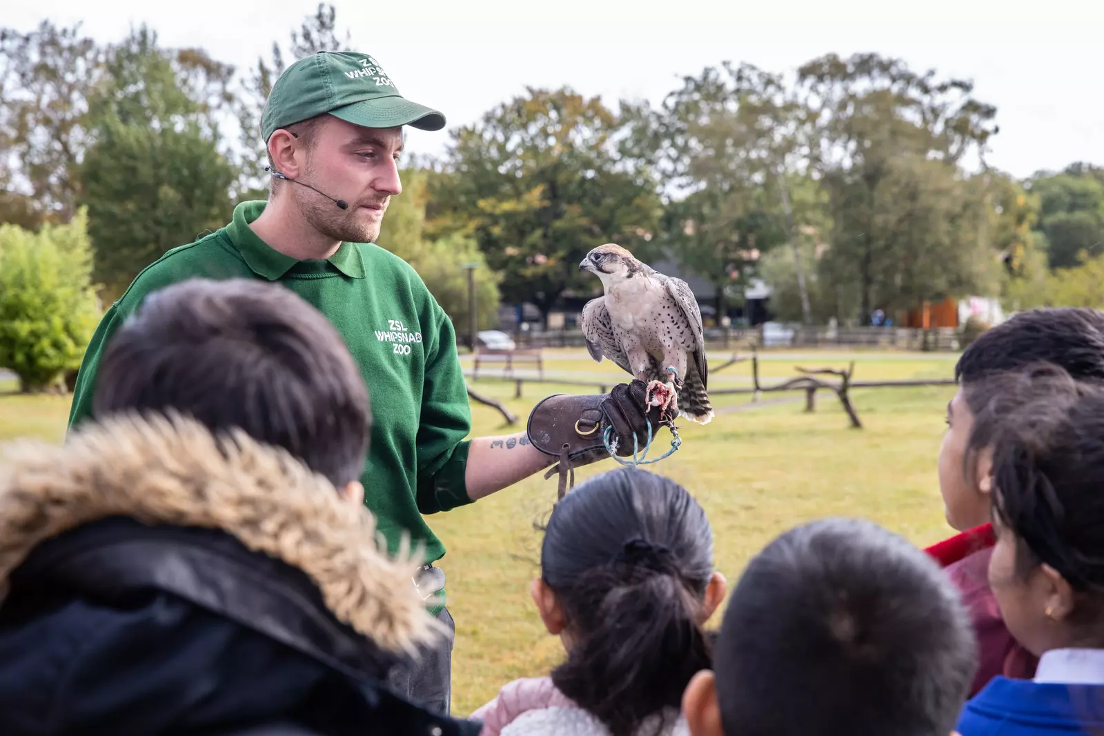 School visit at Whipsnade Zoo