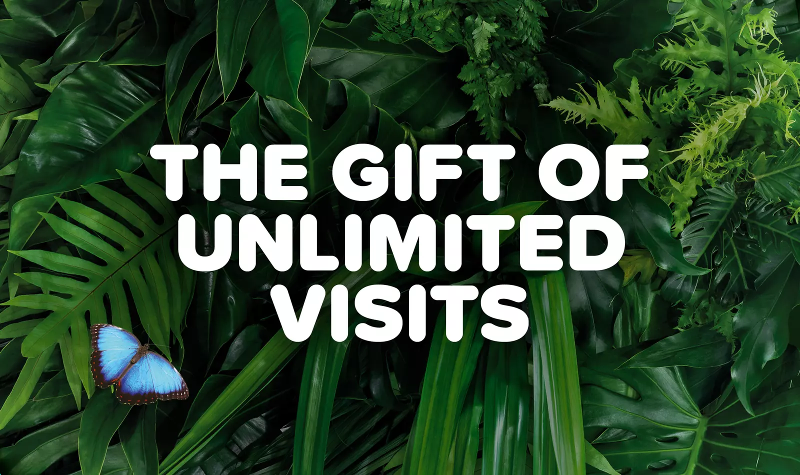 Gift Membership