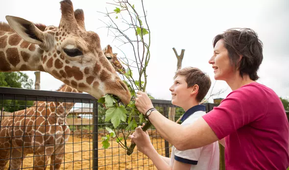 Meet the animals | Whipsnade Zoo Meet the animals | Whipsnade Zoo