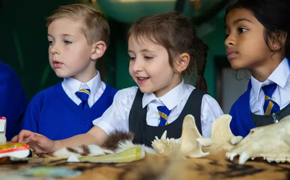 Online Resources for Key stage 1 | Whipsnade Zoo