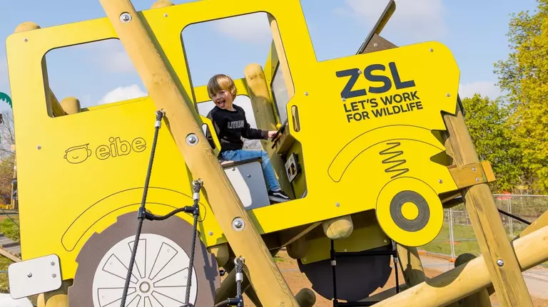 A little boy on the mini safari jeep in Hullabazoo Adventure Play at Whipsnade Zoo