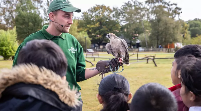 School visit at Whipsnade Zoo