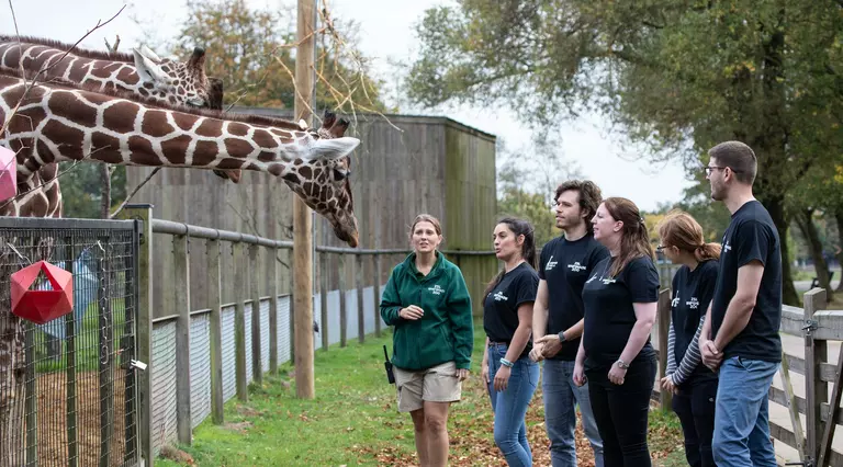 A group of Keeper for a Day experience participants with a giraffe