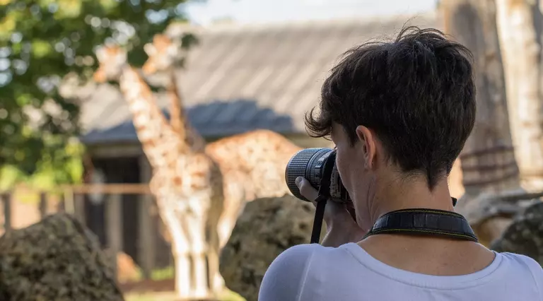 photographer at Zoo