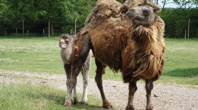 Mum Orla being protective of her newborn son 