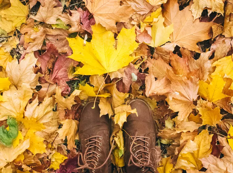 A person looking down at their boots standing on autumn coloured leaves 