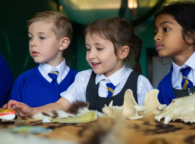 Primary school education workshop at Whipsnade Zoo