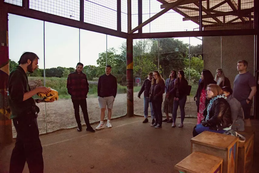 Lookout lodges sunset tour at Whipsnade Zoo, zookeeper shows lion skull at Land of Lions
