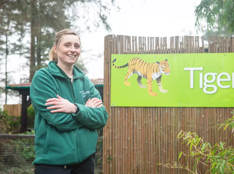 Sarah McGregor, Team Leader of Predators at Whipsnade Zoo stands outside tiger enclosure