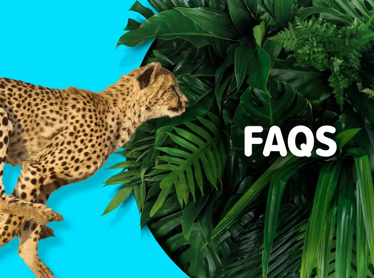 Whipsnade Zoo Membership FAQs