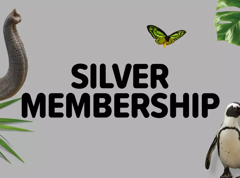 Whipsnade Zoo Silver Membership