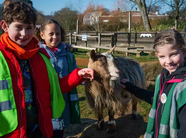 Zoo Explorer participants meet a goat