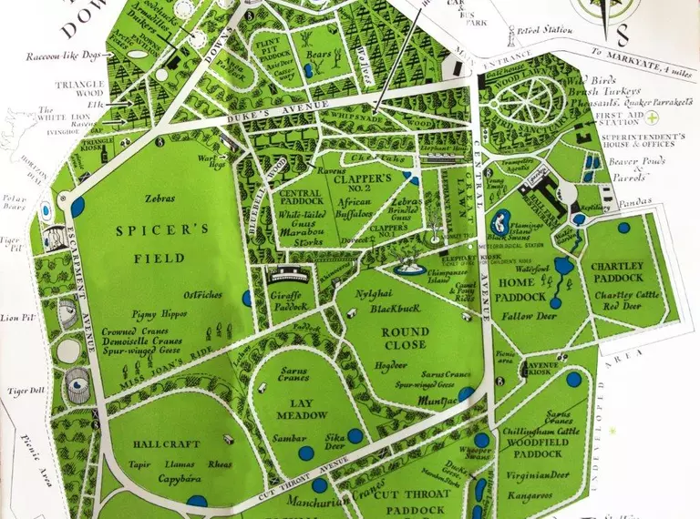 Whipsnade Zoo 1939 map