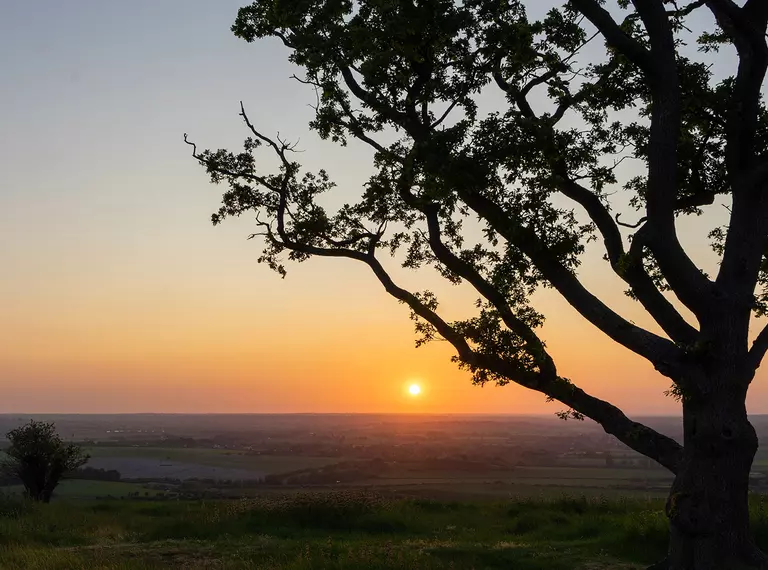 A sunset at Whipsnade Zoo over the Downs