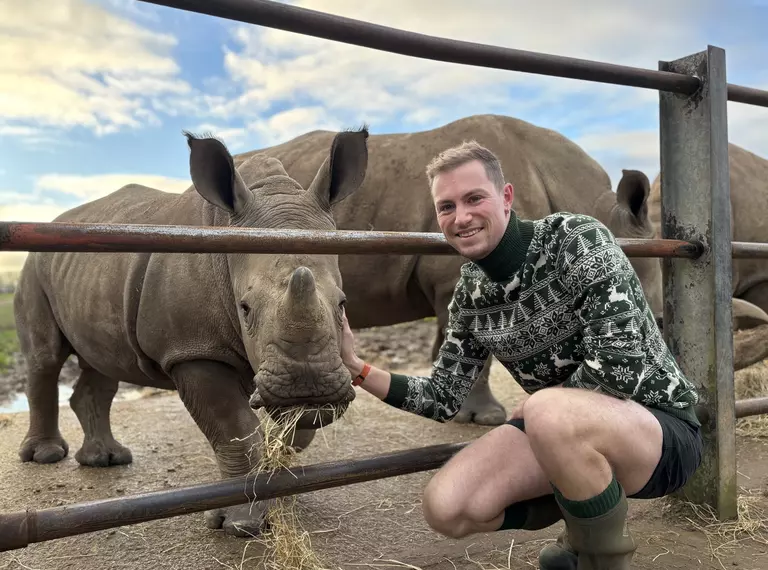 Keeper Alex wearing a Christmas jumper posing next to rhino calf Benja