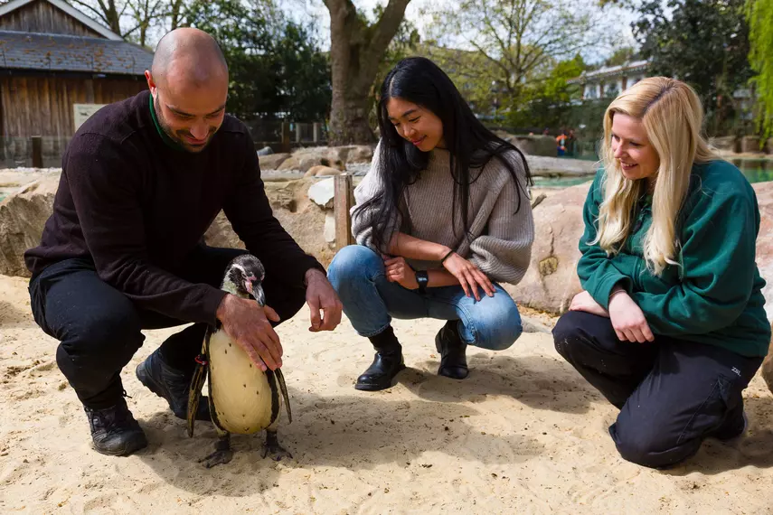 London Zoo Experiences