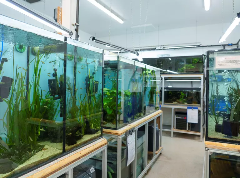 Whipsnade Zoo aquarium