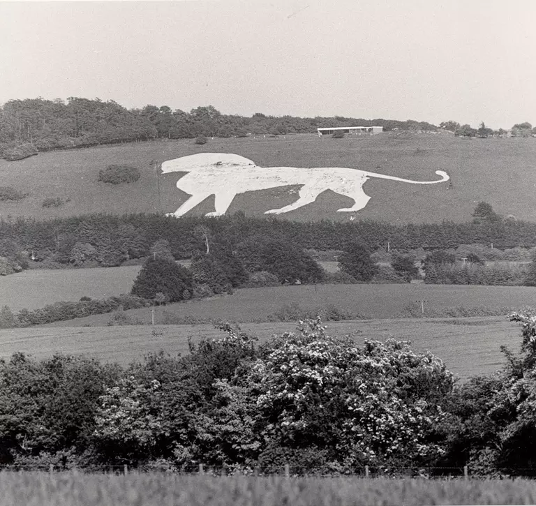 Whipsnade chalk white lion