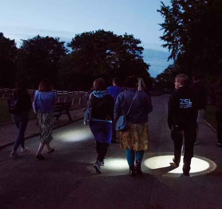 Torchlight walk at Lookout Lodge experience Whipsnade Zoo