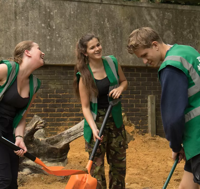 Three Zoo Academy participants smiling as they use shovels in an animal habitat