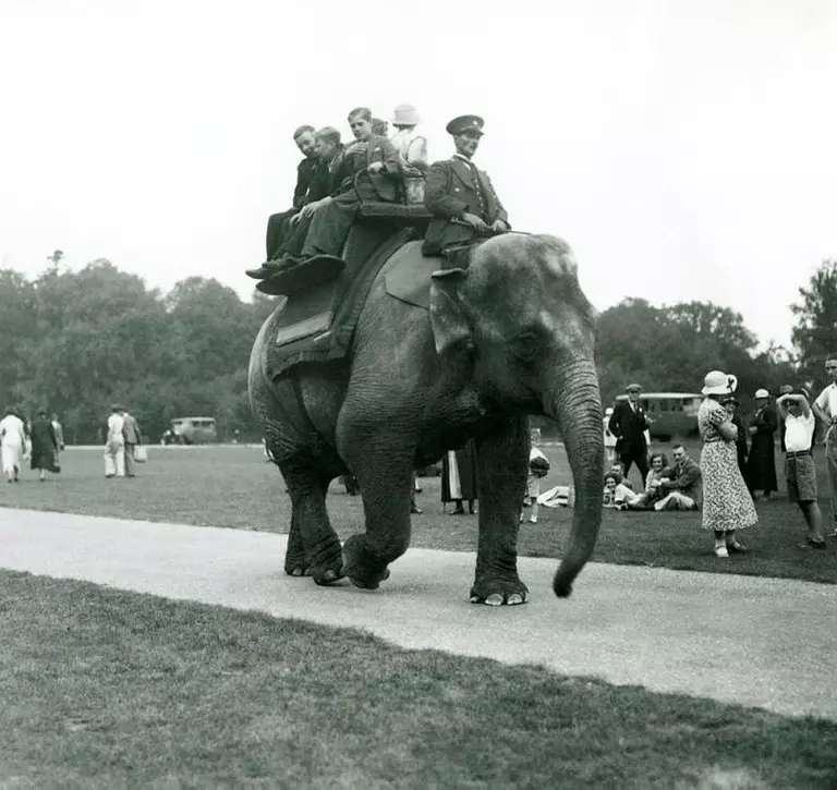 Elephant ride at Whipsnade in1936. Her handler rides astride the female Burmese Elephant's neck while five visitors including children are seated in her howdah. Small groups of other visitors sit or stand on the short grass beside the path.