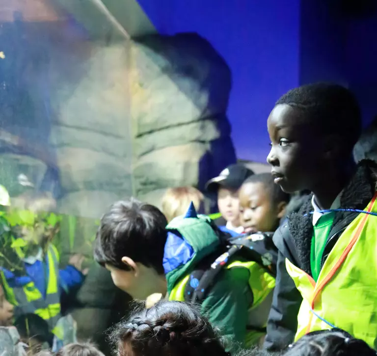 students looking at an aquarium tank