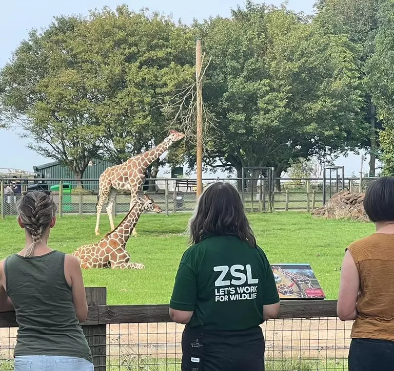 Whipsnade Zoo staff member engaging with teachers at giraffes