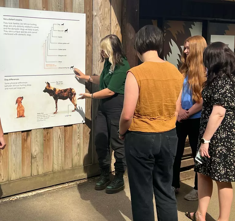 Teachers and a member of Whipsnade staff looking at hunting dog signage