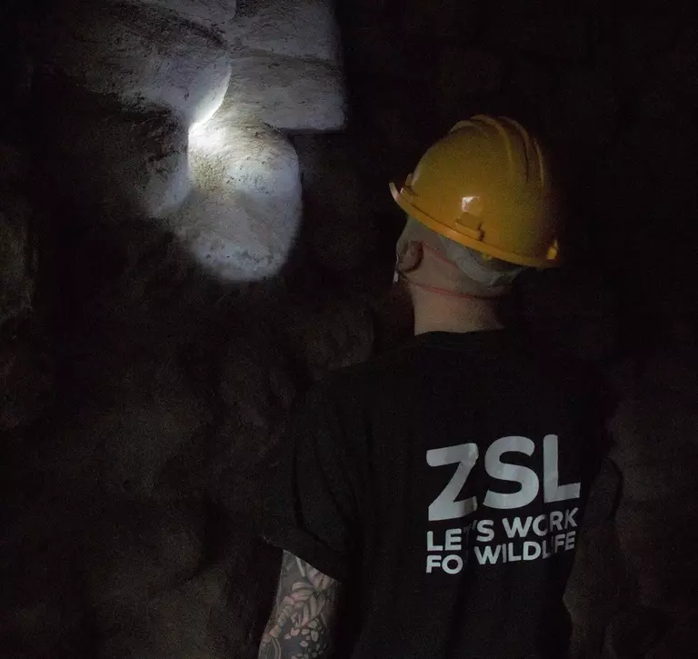 Tyrone wears a hard hat and holds up torch checking stone structure