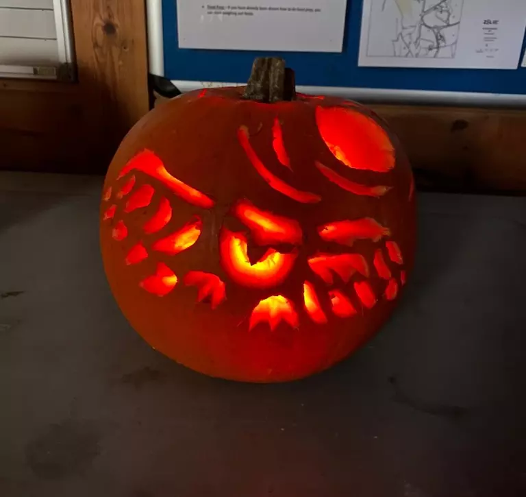 An owl carved into a pumpkin