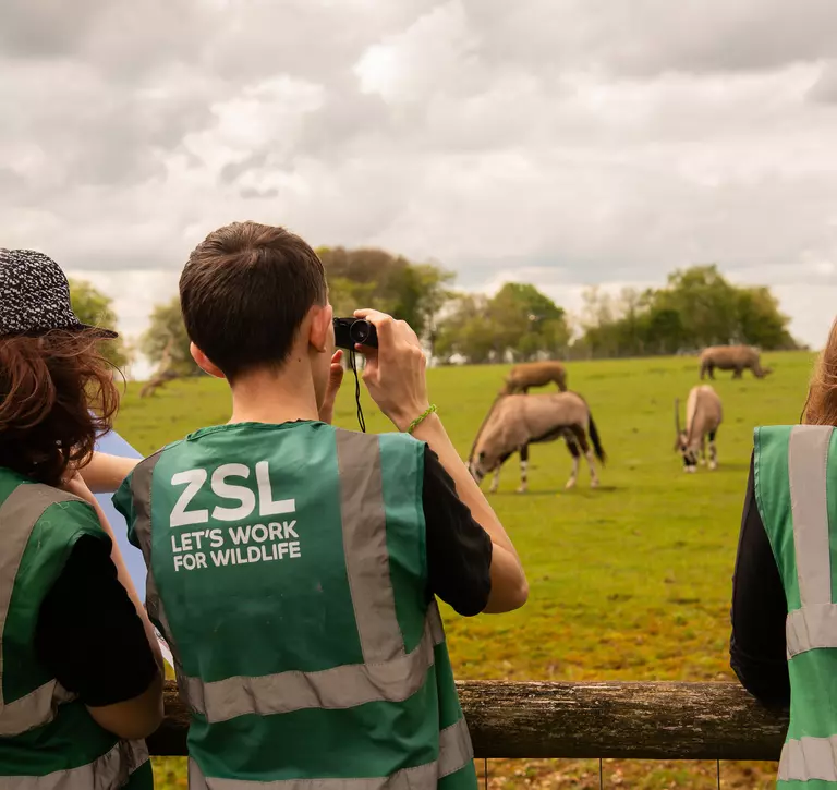 Students observing animals