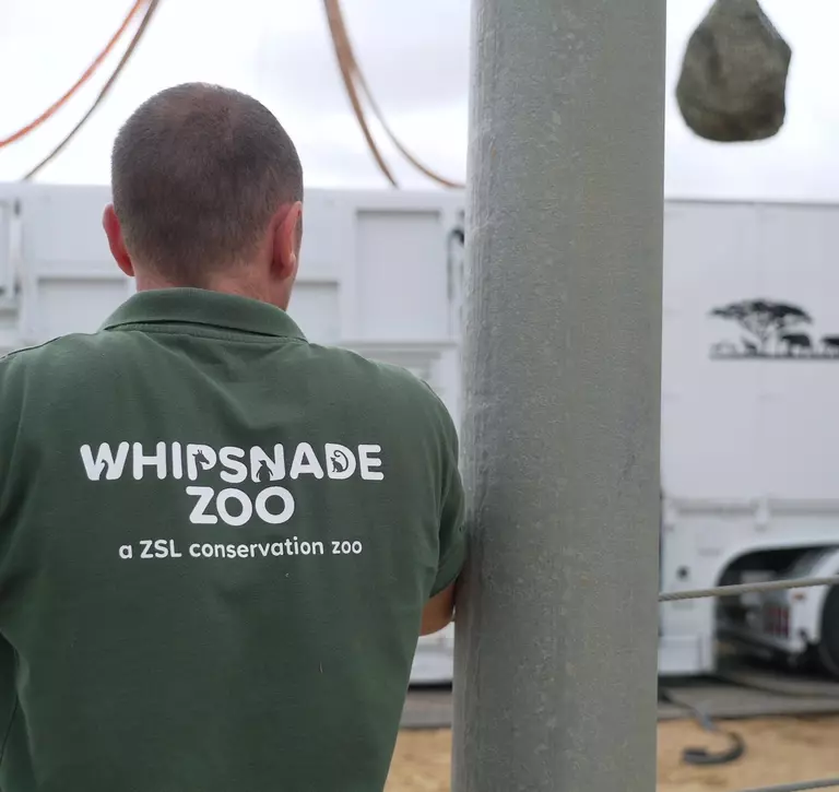Elephant team leader Mark Howes keeps a watchful eye as the travel crates are loaded onto the lorry, ready for departure