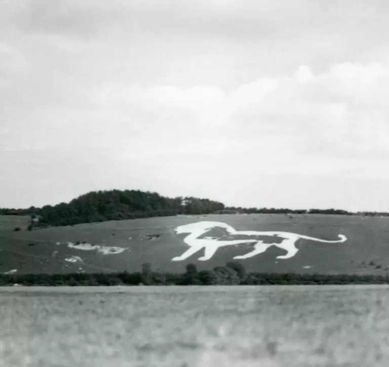 Black and white photo of the chalk white lion 