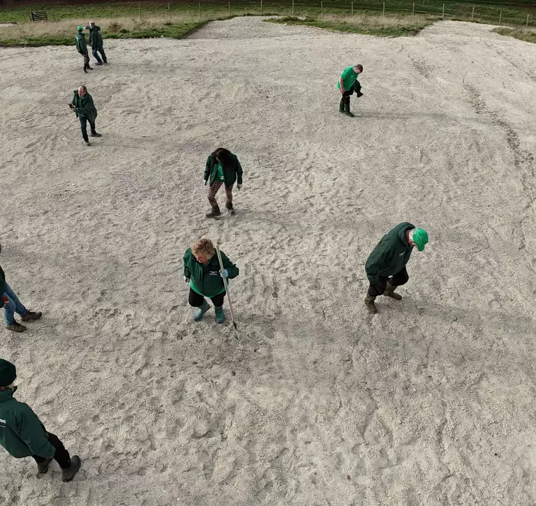 Drone shot of volunteers stamping whipsnade white lion